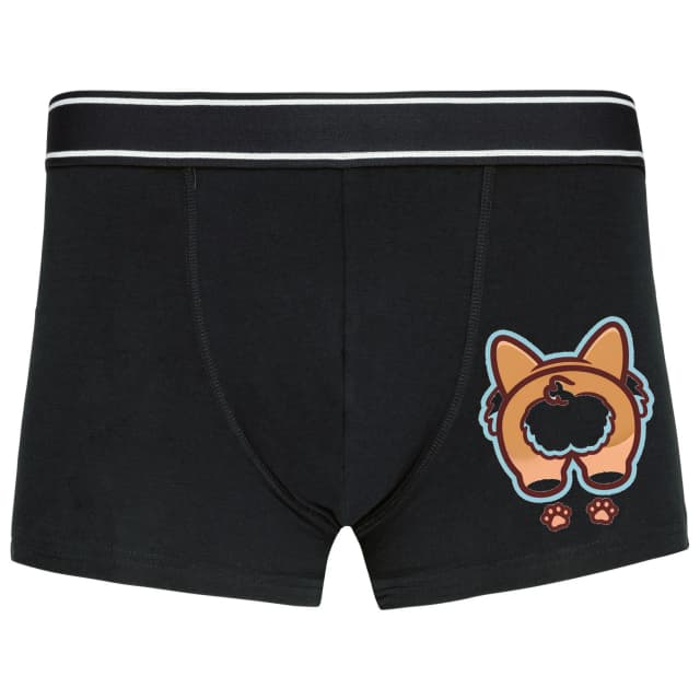 Boxerky Roztomilý Zadoček Corgiho S Nadýchaným Ocáskom A Tlapkami