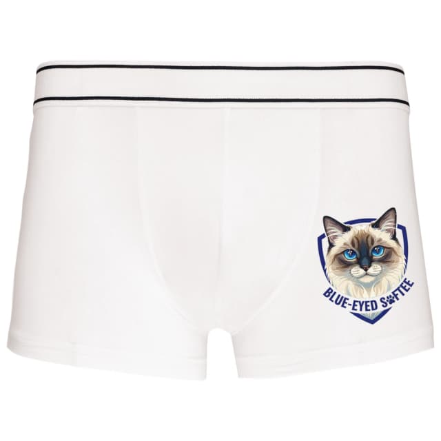 Boxerky Kráľovský Ragdoll S Modrými Očami Luxusný Emblém Pre Milovníkov