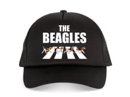 44809_D_tsk__k_iltovka_The_beatles_b_glov__MAIN