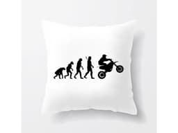 6764_Pol_t___Evoluce_motork___MAIN