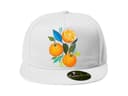 Snapback Pomaranč