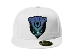 23878_Snapback_Pol_rn__medv_d_MAIN